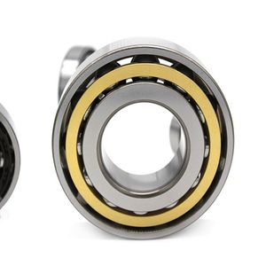 Nj204 205 304 305 306 2306ecml Single Row Locating Cylindrical Roller Bearing for Motors