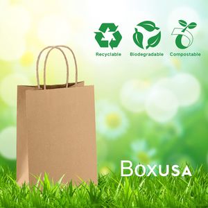 Wholesale Biodegradble Packaging Food Grade Customized Craft Paper Bag Take Away Bag