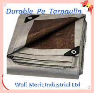 Durable Bothside Laminated PE Tarpaulin HDPE Tarpaulin
