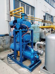 Roots Vacuum Pump for Vacuum Distillation, Concentration, Drying and Food, Chemical, Pharmaceutical, Textile Industries