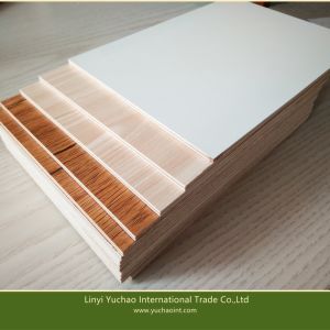 Hot Sale Wood Colors Melamine Plywood for Decoration