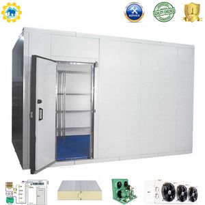 Freezer Room Industrial Refrigeration Cold Storage Freezer Cold Room