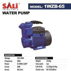 Sali 1WZB-65 750W 1.0HP 1*1inch Self-Priming Peripheral Pump