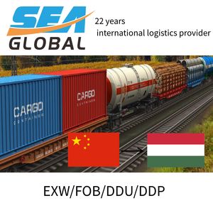 Railway Freight Shipping From China to Hungary Ex-Works Fob DDU Logistics Agent