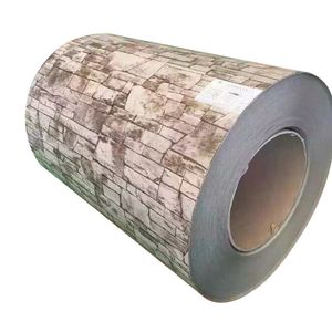 Iron Sheet Building Roofing Material 2 mm Dx51d Cold Roll/Hot Rolled Steel Coil PPGI/ PPGL G350 G550 Ral90 Prepainted Galvanized Zinc Coating Steel Coil