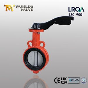 Butterfly Valve Suppliers - Ss Disc Wafer Butterfly Valve with Hand Lever