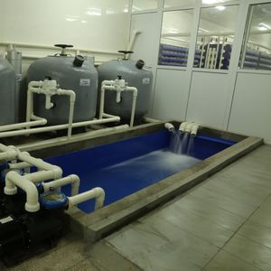 Plastic Soft Shell Crab Farming Box Mud Crab Farming Systems
