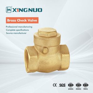 Corrosion-Resistant Nickel-Plated Custom Brass Check Valve for Chemicals