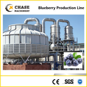 Small Tomato Paste Chili Sauce Production Line From Shanghai Chase