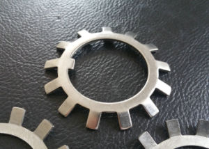 Lock Washer / Gasket, SS304 / SS316 Washer