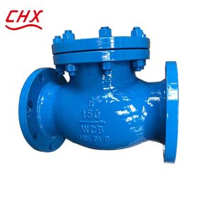 Cast Steel Stainless Steel Series Swing Flanged Non Return Check Valve