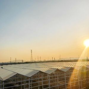 Glass Greenhouse for Hydroponics Flower and Vegetable Production with Water Circulation System