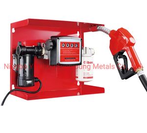 Metering Diesel Transfer Pump Kit with 12V Portable Fuel Self-Priming Pump and Filter