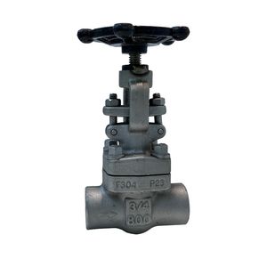 800lb Forged Stainless Steel F304 3/4in Threaded End Gate Valve