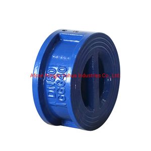 Dual Plate Check Valve with DIN and ANSI Standard
