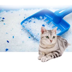 Customized Deodorant Long-Lasting Fragrance Silicone Cat Litter No Clumping Silica Gel 1-8mm