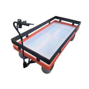 Heavy Duty Electric Small Cart 4 Wheels Platform Hand Cart Trolley Cargo Outdoor Beach Cart