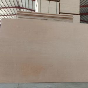 Hot Sale Veneer Commercial Poplar/Eucalyptus Core Plywood