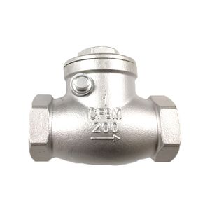 Stainless Steel Swing Check Valve with Bsp/NPT Thread