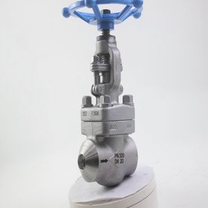 New-Style New Technology High Satisfaction Forged High Pressure Globe Valve with CE