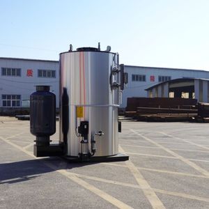 50 HP Vertical Gas Fired Steam Boiler for Sale