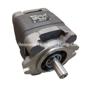 Hg0 Hg1 Hg2 Injection Moulding Machine Servo System Gear Pump, Sunny Hg Hydraulic Inner Internal Gear Pump