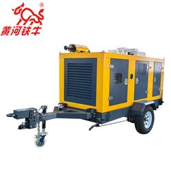 Stable Performance and High Sales Diesel Driven Flood Prevention and Rescue Pump