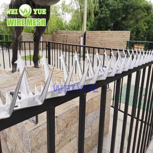 Hot DIP Galvanized Anti Crawling Razor Barbed Wire Wall Spike for Fence