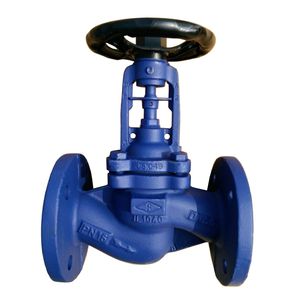 DIN Pn16 Ductile Iron Carbon Steel Wcb Stainless Steel Flanged End Gg25 Pn25 Bellow Seal Globe Valve