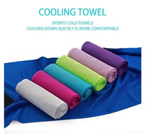 Wholesale Custom Microfiber Polyester Fabric Logo Ice Cool Sports Gym Cooling Towel with Bottle