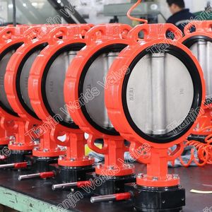 Flanged Type Wafer Butterfly Valve Central Line Acs Certificate