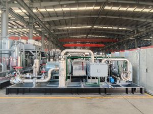 Air-Cooled Oil Free Reciprocating Compressor for Natural Gas Applications