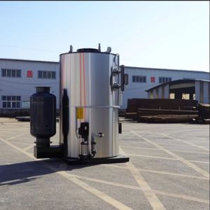 300kg 500kg 1000kg Steam Generator Lhs Type Vertical Gas Steam Generator