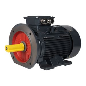 Ye3-355m2-4 4 Pole Three-Phase Induction Electric AC Motor 250kw 1490rpm 380V IP55