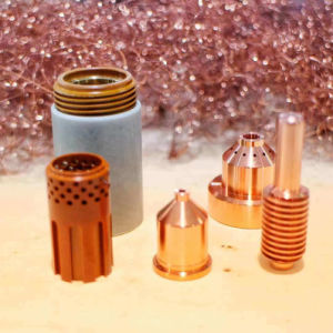 220842 220990 220993 220854 220994 Electrode Plasma Cutting Machine Torch Consumables 45-105A Plasma Electrode