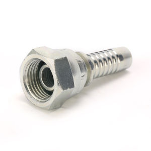 Bsp Female 60 Degree Cone Pipe Hose Fitting