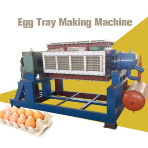 Hot Selling Automatic Egg Tray Making Machine Price with Dryer