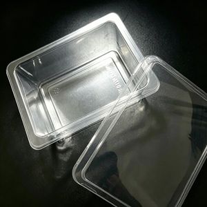 Cake Bread Candy Meat Clear Plastic Packaging Takeaway Box with Lid