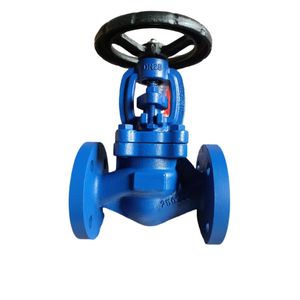 Flanged End Pn16 DIN Standard Stainless Steel Sealed Globe Valve Cryogenic Globe Valve DN100 Globe Valve