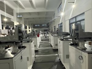 Automatic Equipments /Automatic Production Lines (for 3C electronics, photovoltaics, lithium batteries, medical, automotive, semiconductors, etc.)