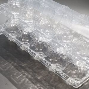 Sturdy Food-Grade Clear Pet Plastic Egg Tray 10-Holes Egg Packaging for Wholesale