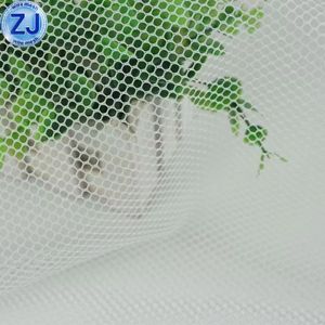 Factory Chicken Farm/Chicken Coop Equipment/Direct Supply Breeding Plastic Mesh
