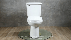 Bathroom Equipment Wc Sanitary Ware Wall Hung Toilet Seat