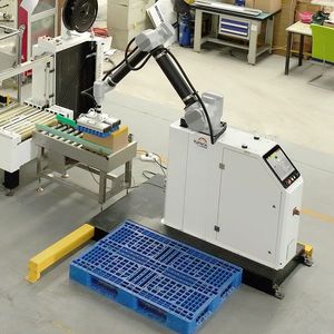 Cost-Efficient Automated Case Box Carton Palletizer for Customization