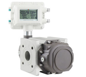 Digital High Accuracy Gas Lobed Roots Flowmeter Waist Wheel Flow Meter