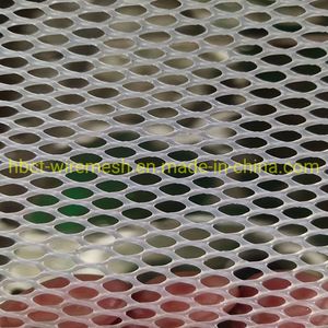 Plastic Flat Net in Chicken Farm