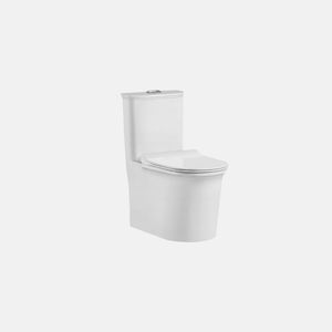 High Quality Sanitary Ware Colored Toilet