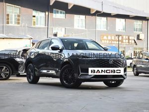 Used Cars Made in China Micro Car Electric Car