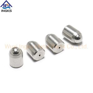Stainless Steel Body with Press Fit Ss Ball Unthreaded Spring Ball Indexing Plunger