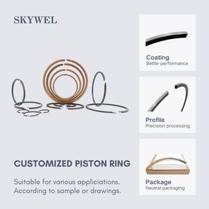 Customized Piston Rings or Sealing Rings Suitable for Various Application